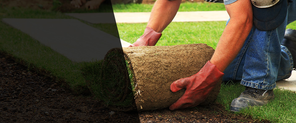 Pen Argyl Landscapers